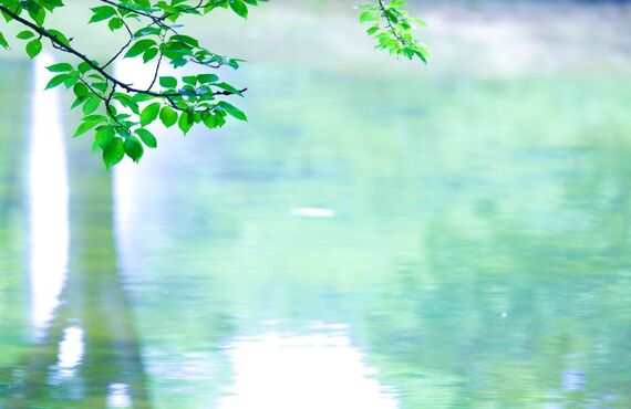 コロナ　抗ウイルス　コーテイング　アクティブコート　まる屋