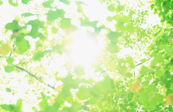 コロナ　抗ウイルス　コーテイング　アクティブコート　まる屋